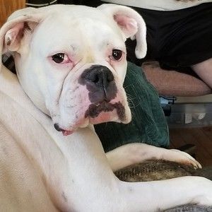 Meet your Posher, Kim